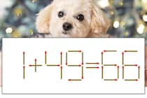 【マッチ棒パズル】正しい式にしよう！「1+49=66」【毎日脳トレ】