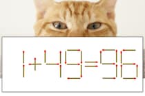【マッチ棒パズル】正しい式にしよう！「1+49=96」【毎日脳トレ】