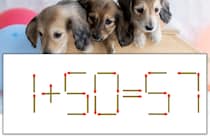 【マッチ棒パズル】正しい式にしよう！「1+50=57」【毎日脳トレ】