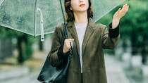すぐ返すと約束した傘を返せなかった理由や同棲をはぐらかす彼の紙袋の秘密、さらに会えないと嘘をつき花屋にいた男