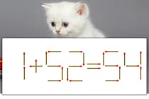 【マッチ棒パズル】正しい式にしよう！「1+52=54」【毎日脳トレ】