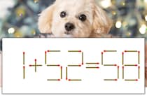 【マッチ棒パズル】正しい式にしよう！「1+52=58」【毎日脳トレ】