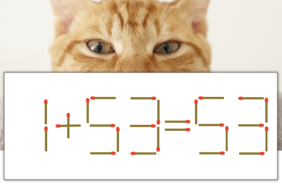 【マッチ棒パズル】正しい式にしよう!「1+53=53」【毎日脳トレ】