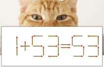 【マッチ棒パズル】正しい式にしよう！「1+53=53」【毎日脳トレ】