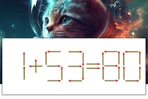 【マッチ棒パズル】正しい式にしよう！「1+53=80」【毎日脳トレ】