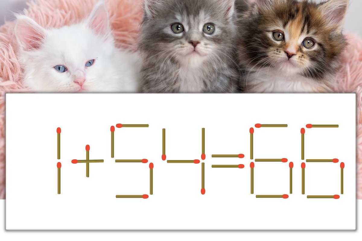 【マッチ棒パズル】正しい式にしよう!「1+54=66」【毎日脳トレ】