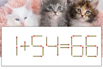 【マッチ棒パズル】正しい式にしよう！「1+54=66」【毎日脳トレ】