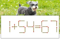 【マッチ棒パズル】正しい式にしよう！「1+54=67」【毎日脳トレ】