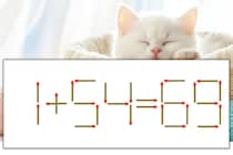【マッチ棒パズル】正しい式にしよう！「1+54=69」【毎日脳トレ】