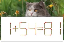 【マッチ棒パズル】正しい式にしよう！「1+54=81」【毎日脳トレ】
