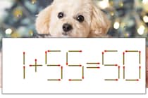 【マッチ棒パズル】正しい式にしよう！「1+55=50」【毎日脳トレ】