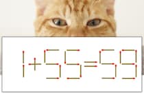 【マッチ棒パズル】正しい式にしよう！「1+55=59」【毎日脳トレ】
