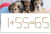 【マッチ棒パズル】正しい式にしよう！「1+55=65」【毎日脳トレ】