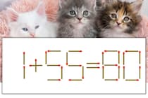 【マッチ棒パズル】正しい式にしよう！「1+55=80」【毎日脳トレ】