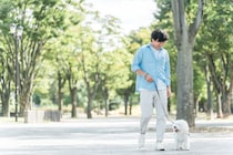 犬の散歩中に理不尽な決めつけをされ反論した訳！脳卒中の前兆や膵臓がんになりやすい3大原因を医師が解説