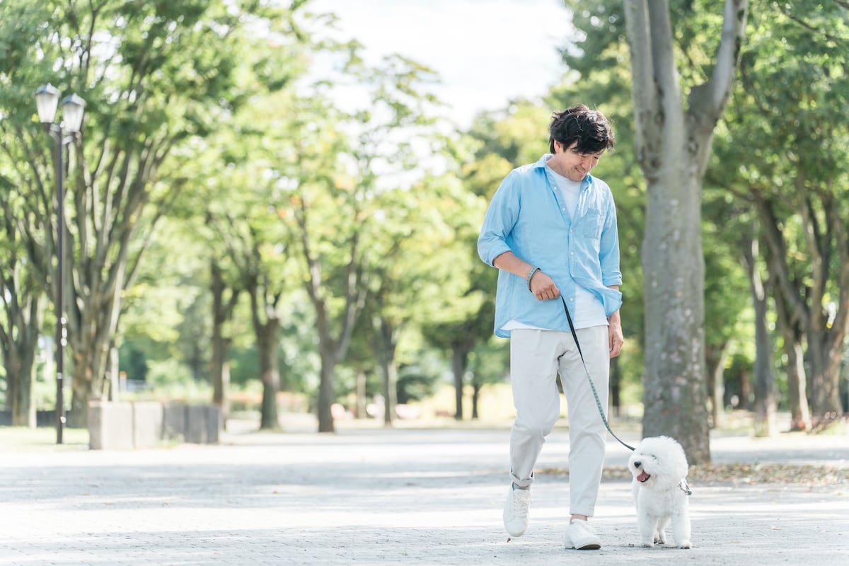 犬の散歩中に理不尽な決めつけをされ反論した訳!脳卒中の前兆や膵臓がんになりやすい3大原因を医師が解説