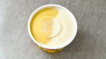 「南国を感じる」「夏の味」【ハーゲンダッツ】の期間限定ジェラート