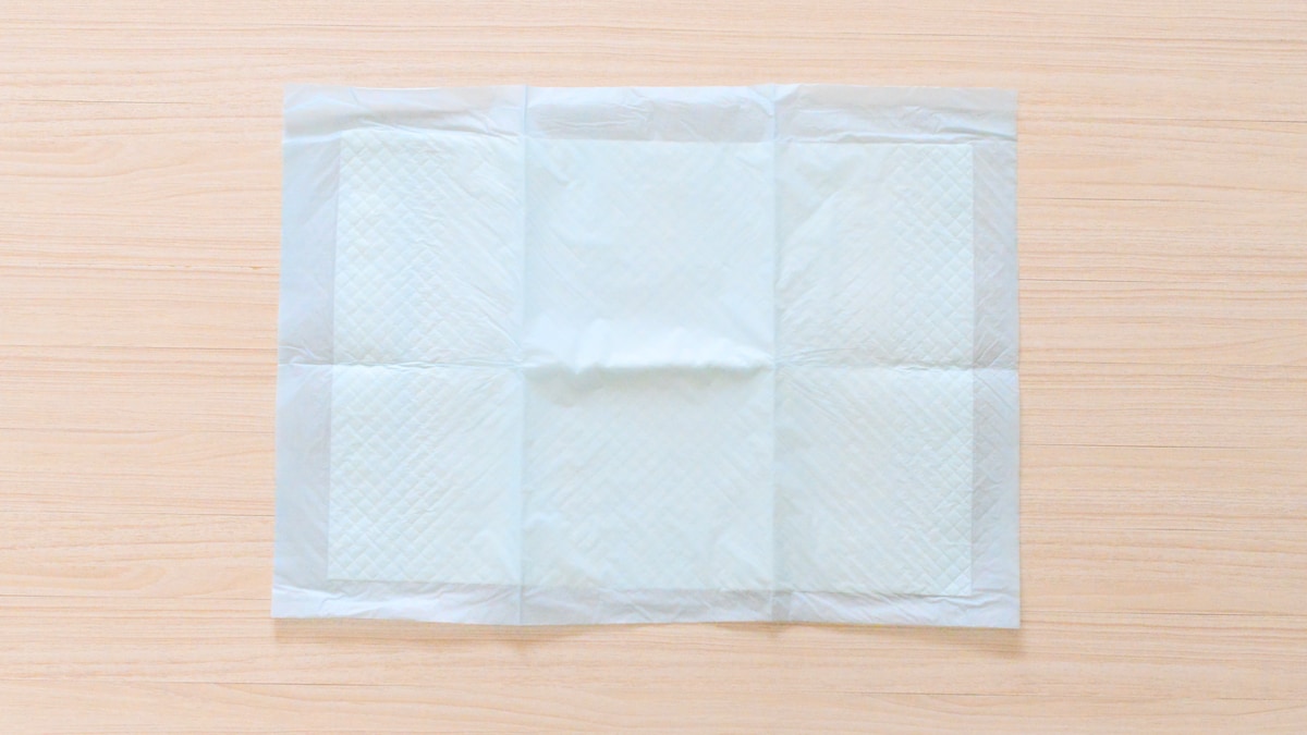 100均【ダイソー】のペットシーツを買ってみた！じゃない使い方でも便利◎