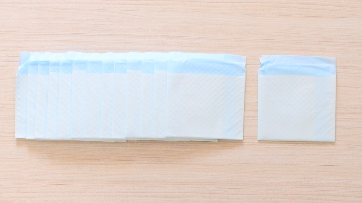 100均【ダイソー】のペットシーツを買ってみた！じゃない使い方でも便利◎