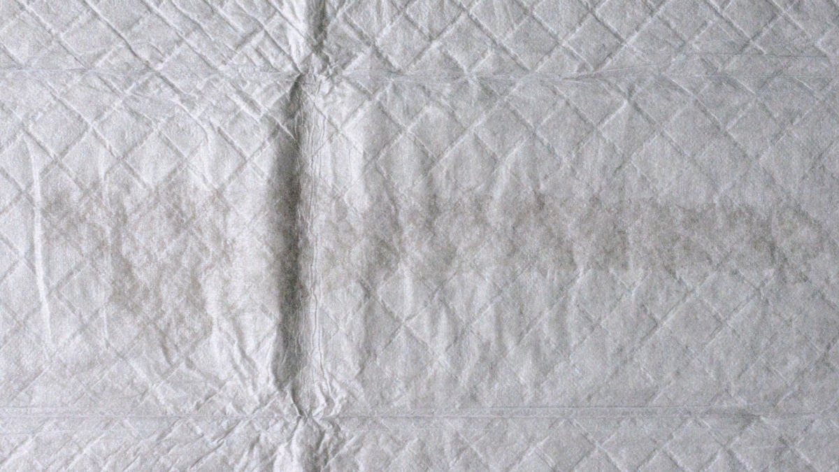 100均【ダイソー】のペットシーツを買ってみた！じゃない使い方でも便利◎