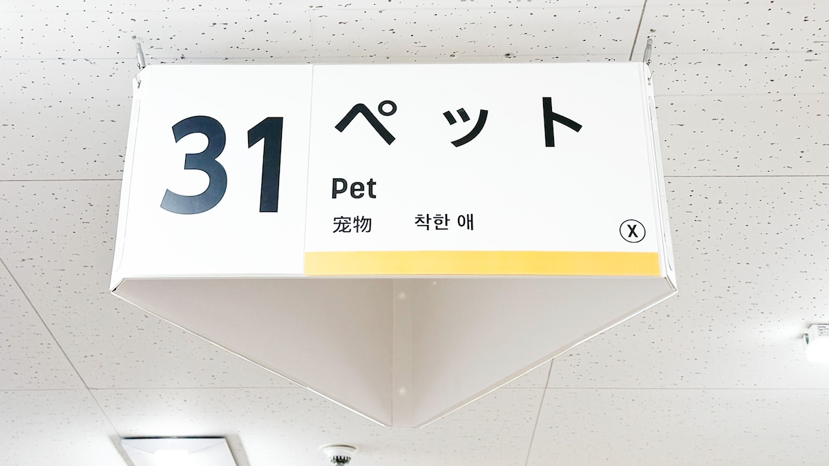 100均【ダイソー】のペットシーツを買ってみた!じゃない使い方でも便利◎