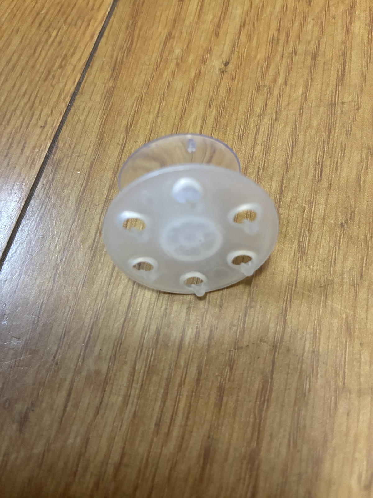 ダイソーの「浮かせるスポンジホルダー」（110円／1個）