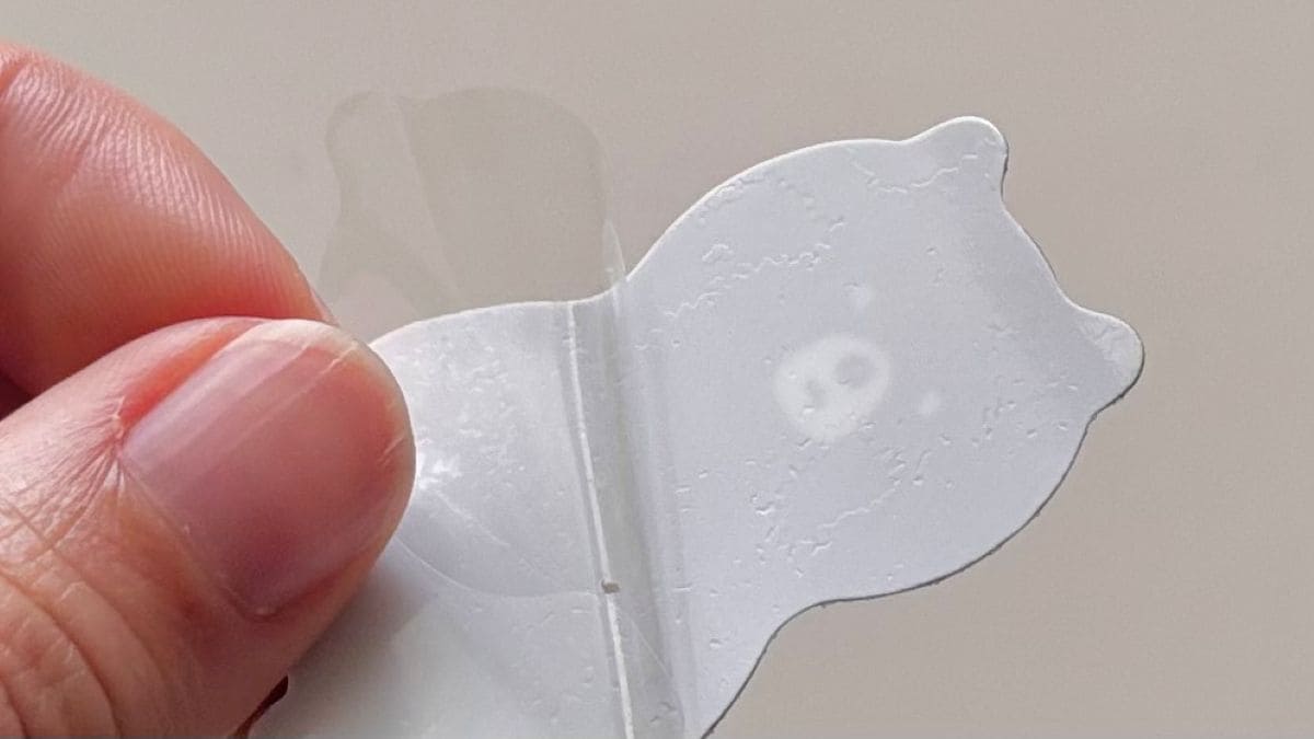 セリア「スポンジキャッチ」の意外な使い道!タオルホルダーとして使ってみました
