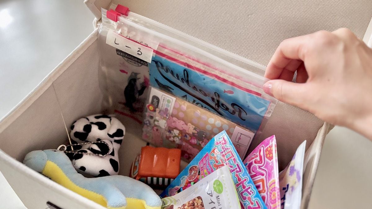 110円で子どもが自分でお片付け!「スライドジッパーバッグ」の意外な収納術