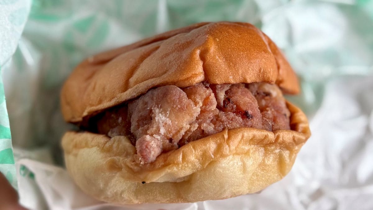 これはバーガーというよりほぼ肉（笑）【ゼッテリア】新作の和風バーガーが大満足すぎた