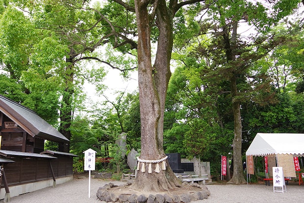 玉村八幡宮