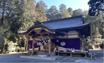【岡山県】「女性の守り神」髙岡神社。御神木をのぞき込むと、ハート形に光が差し込むことも…♡