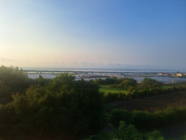 道の駅ひまわり
