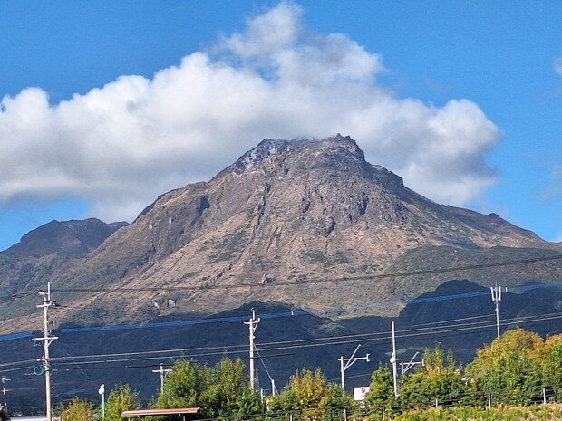道の駅ひまわり