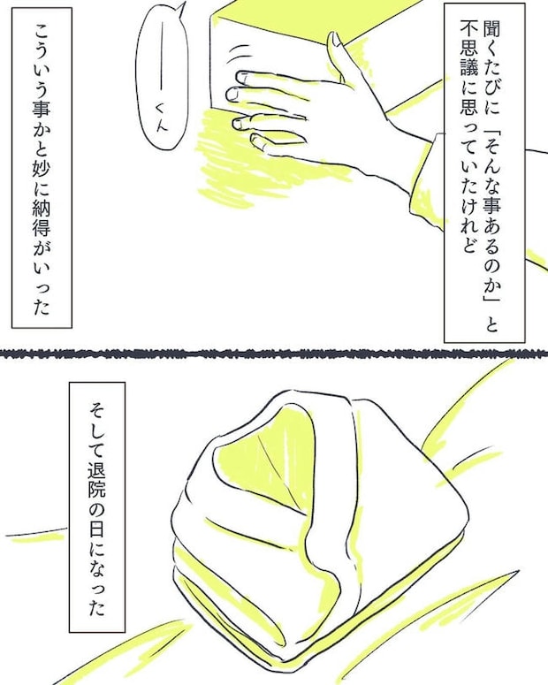 お空に行ったきみのはなし／かばのき