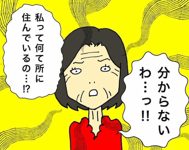 母の認知症介護日記／ワフウフ