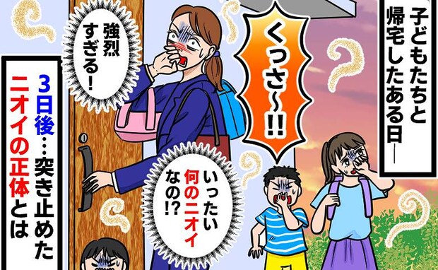 「くっさ～」家の外で強烈な悪臭が！探しても原因がわからず…→3日後、判明したニオイの正体に驚愕！