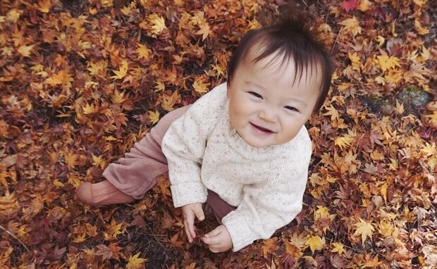 【秋だもんね】1位は「翔」で納得。でも本当に選ばれたのは秋っぽさ全開の…男の子の名前、人気漢字は