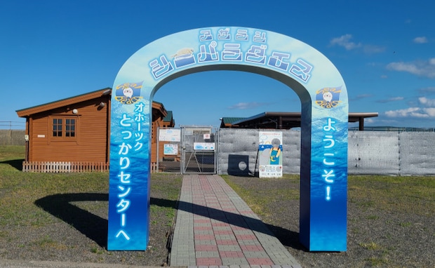 とっかりセンター