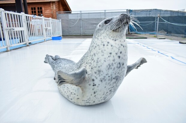 オホーツクとっかりセンター