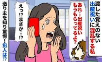 いとこに出産祝いを贈ると「もう貰ってるよ？」と言われ困惑→私じゃない！送り主を聞き絶句！犯人は…