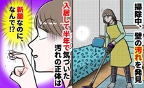 「新築なのに…！」息子の部屋を掃除中、壁に小さな汚れが点々と→入居半年、汚れの正体に絶叫したワケ