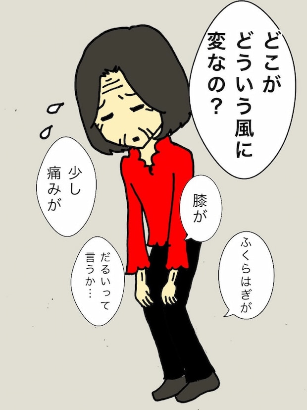 母の認知症介護日記/ワフウフ