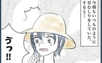 「誰のよーっ！」大切に手入れした花壇に何者かのフン…→その犯人とは！＜ウチの庭はトイレじゃない＞