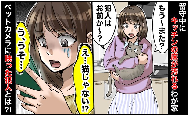 「猫のしわざ？」留守中にキッチンの床が汚れるわが家→猫じゃない！？ペットカメラを設置すると犯人が