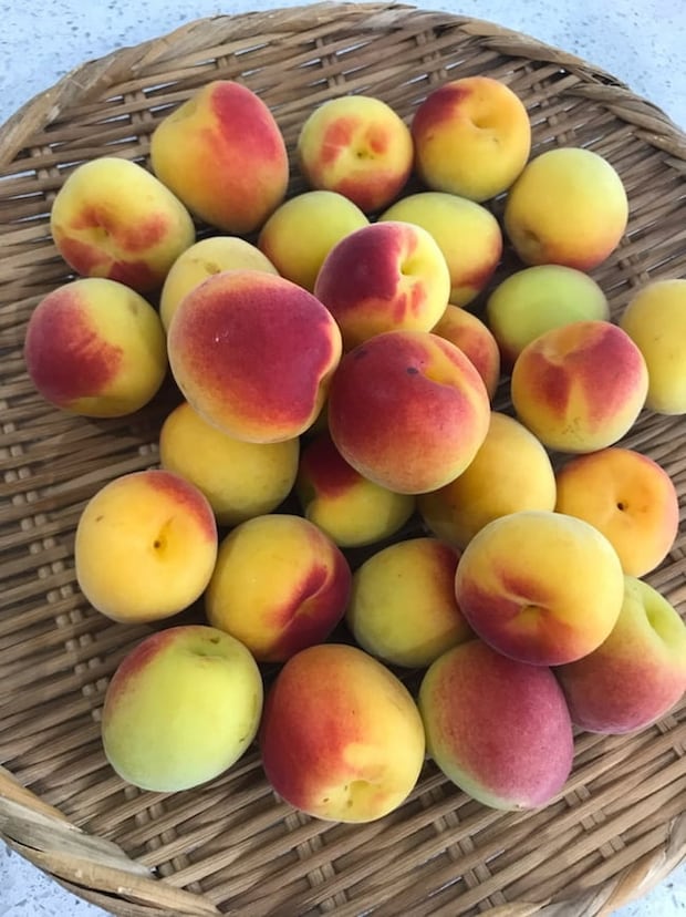 母の認知症介護日記／ワフウフ