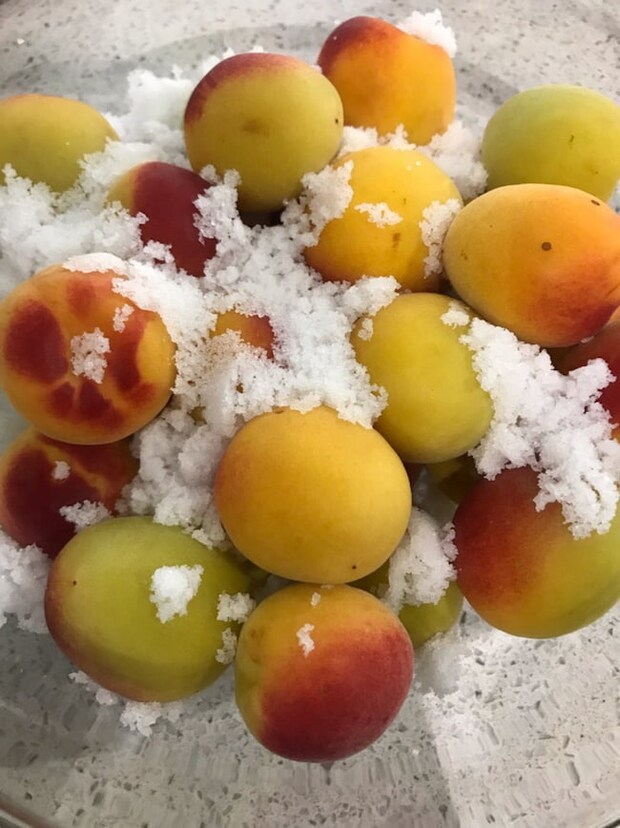 母の認知症介護日記／ワフウフ