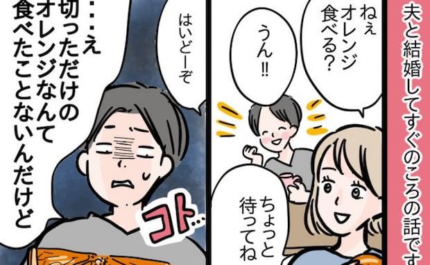 「母さんは皮もタネも取ってくれたよ」夫の言葉にモヤッ…義母との比較が止まらない夫にブチ切れた結果