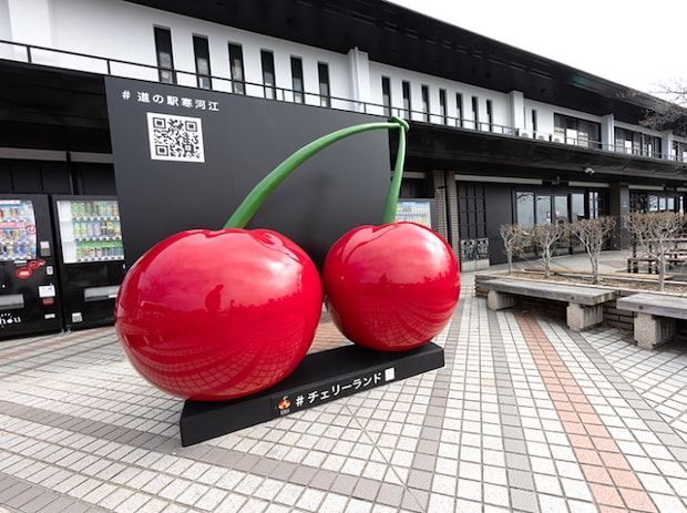 チェリーランドさがえ