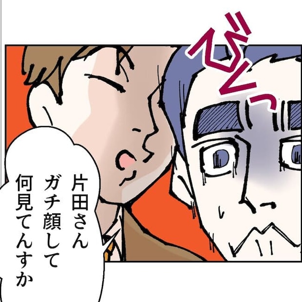 抱きたいのは妻じゃない！不倫は夫婦の文化だろ／ネギマヨ