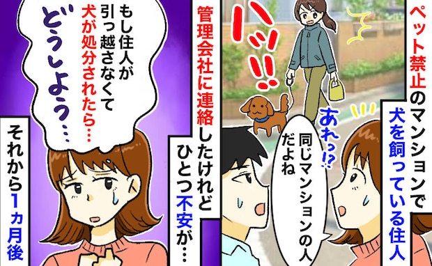 「殺処分されたら私のせい?」ペット禁止の物件で犬を飼う住人⇒管理会社に通報後、罪悪感が…1カ月後